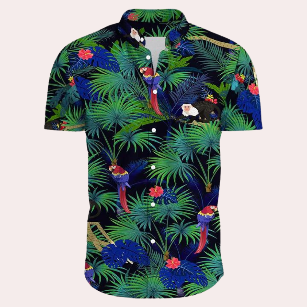 Modernes Hawaiihemd für Herren - Dex