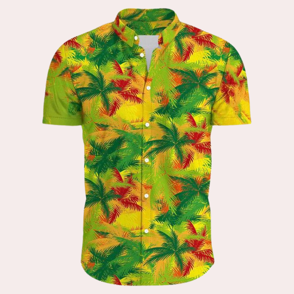 Modernes Hawaiihemd für Herren - Dex