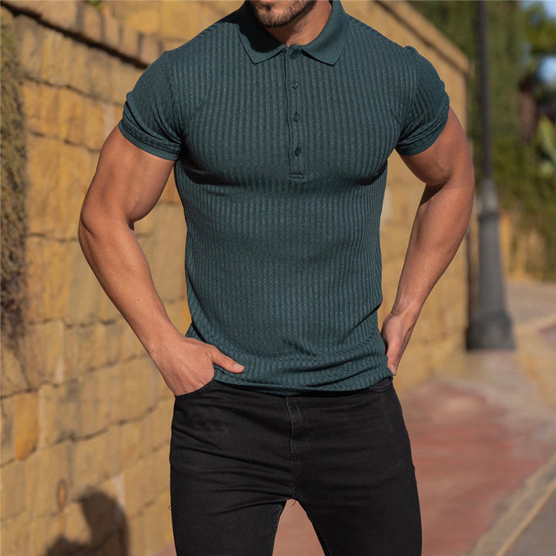 Klassisches Herren-Poloshirt aus Baumwolle – zeitloses Design