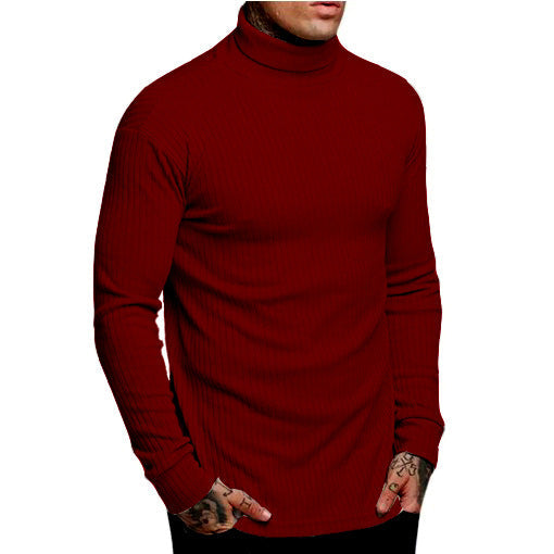 Herren modischer Rollkragenpullover ModeGeist
