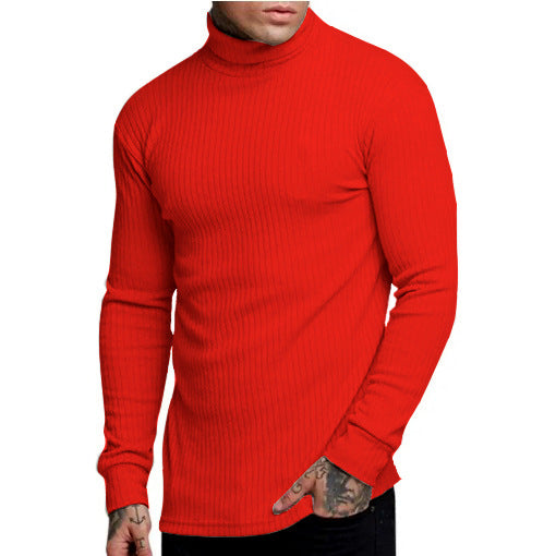 Herren modischer Rollkragenpullover ModeGeist