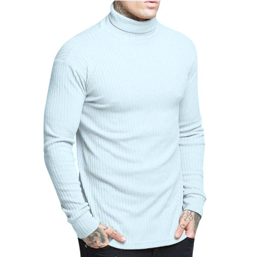 Herren modischer Rollkragenpullover ModeGeist