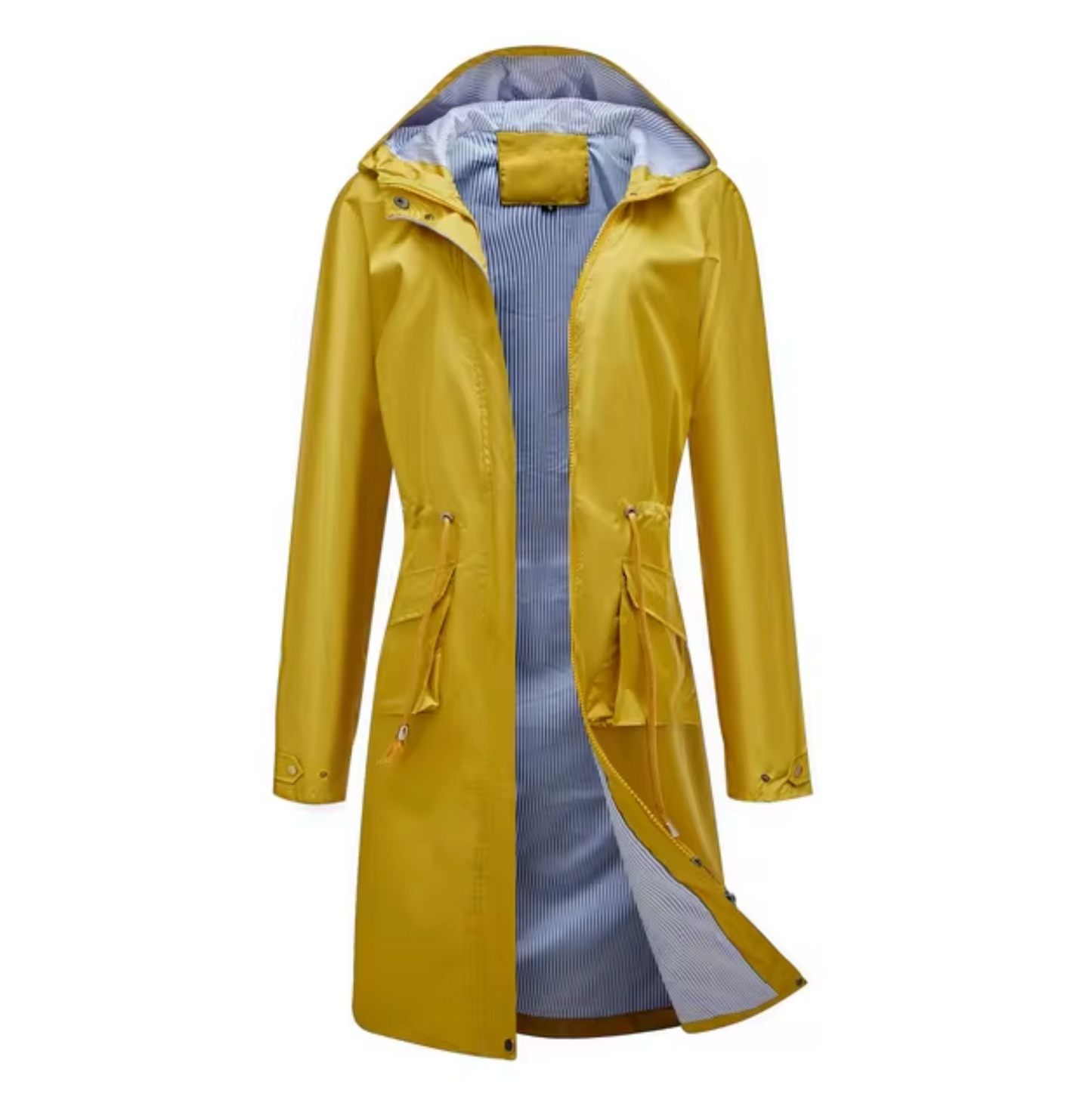 Elegant Tailcoat