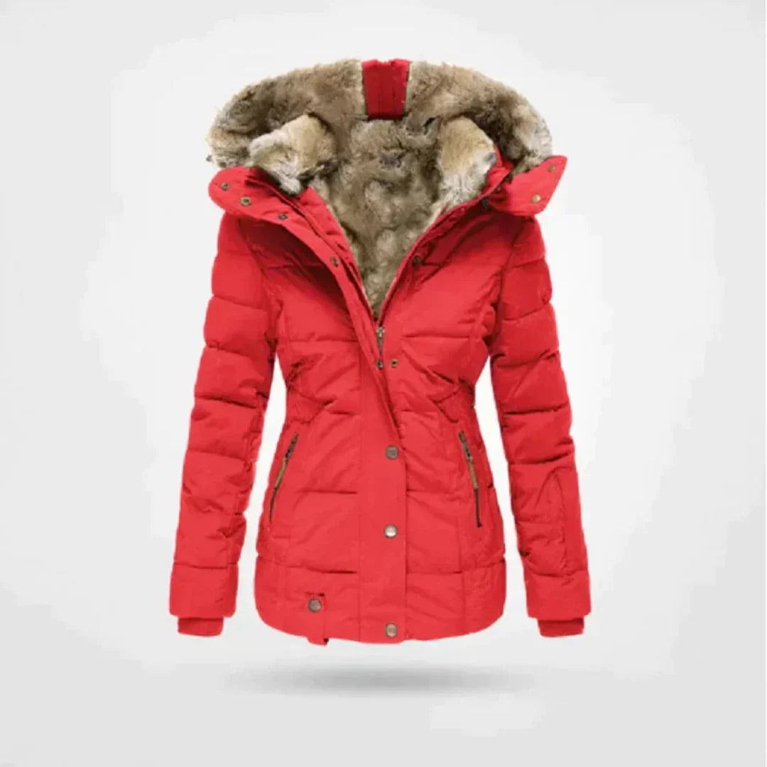ModeGeist | Winterjacke Kurz Gefüttert, Taillierte Passform