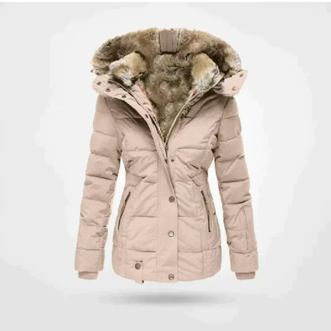 ModeGeist | Winterjacke Kurz Gefüttert, Taillierte Passform