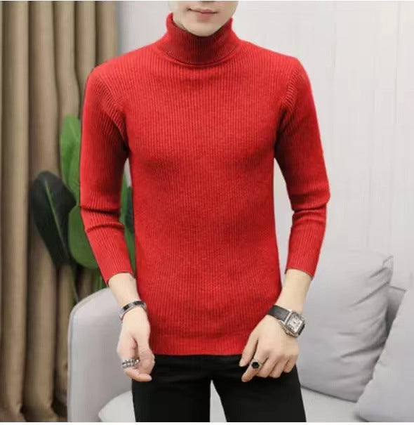 Herren Stehkragen Pullover aus ribbeltem Strick ModeGeist
