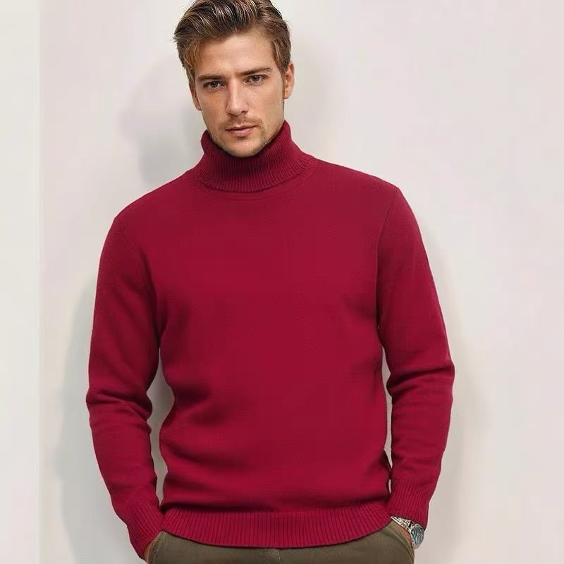 Herren Rollkragenpullover aus feinem Strick ModeGeist