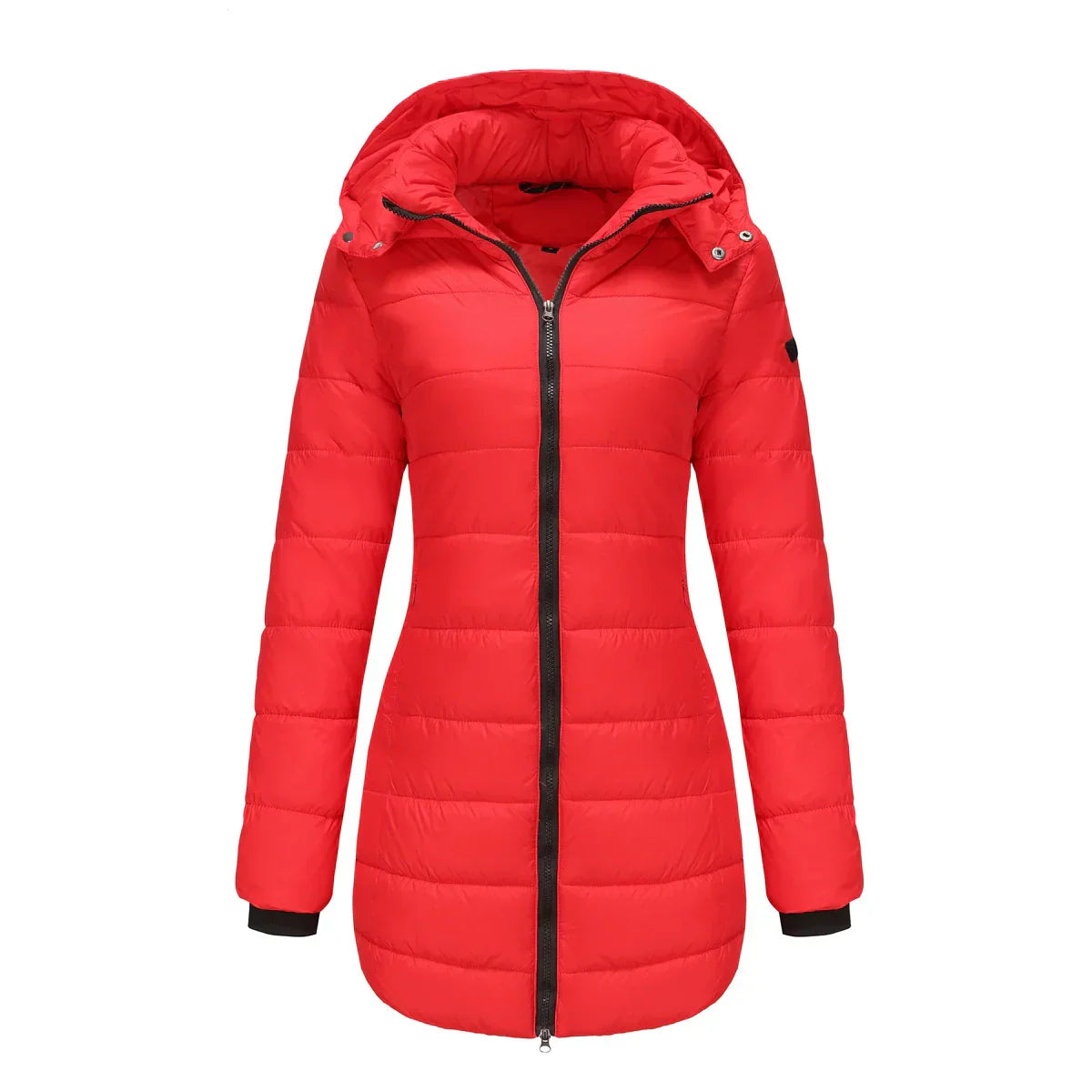 ModeGeist | Pufferjacke - Gefüttert - Abnehmbare Kapuze - Gerippte Bündchen - Mittellange Passform