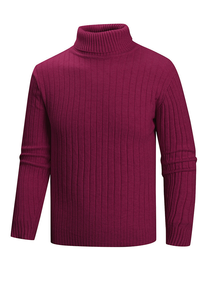 Herren Rollkragenpullover aus hochwertigem Feinstrick ModeGeist