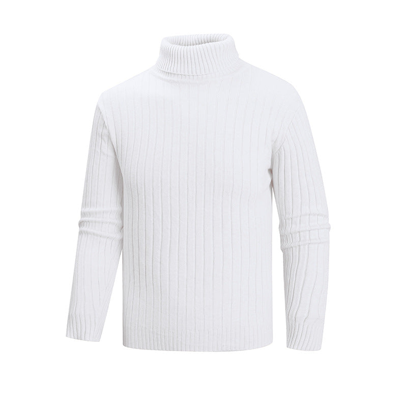 Herren eleganter Pullover mit hohem Kragen und feiner Rippenstruktur ModeGeist
