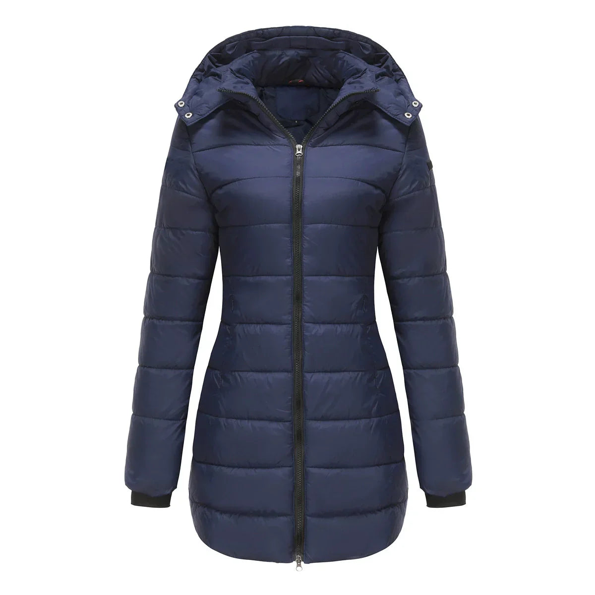 ModeGeist | Pufferjacke - Gefüttert - Abnehmbare Kapuze - Gerippte Bündchen - Mittellange Passform