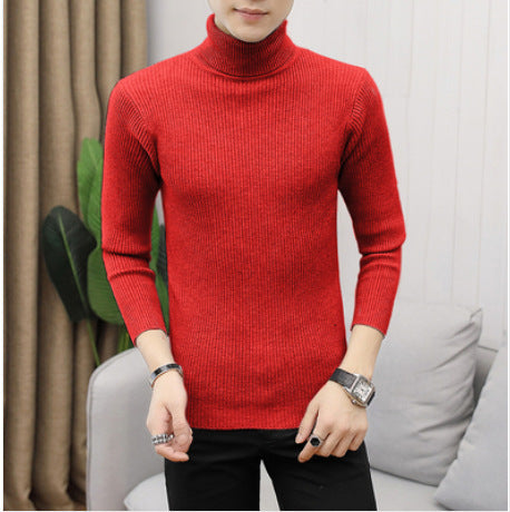 Herren Rollkragenpullover aus feiner Baumwolle mit strukturiertem Design ModeGeist