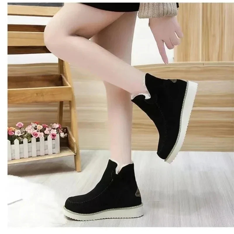 Dolley: Elegante und vielseitige Wintershorts
