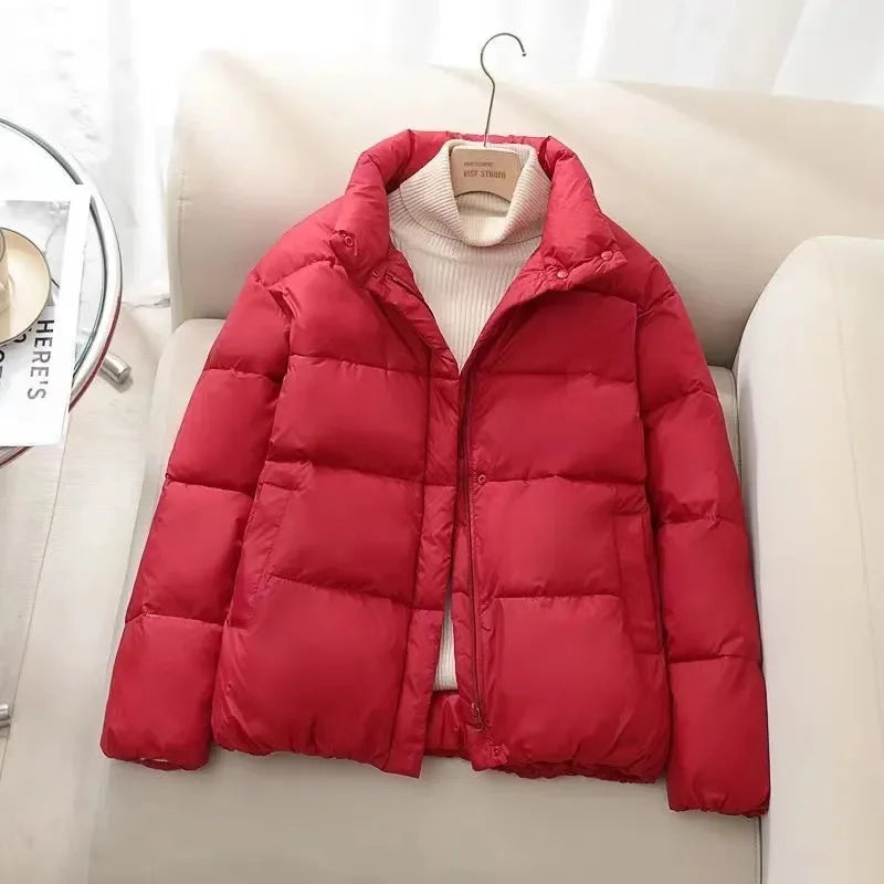 ModeGeist | Pufferjacke – Gequiltet Isoliert – Hoher Kragen – Reißverschluss – Warm Dick