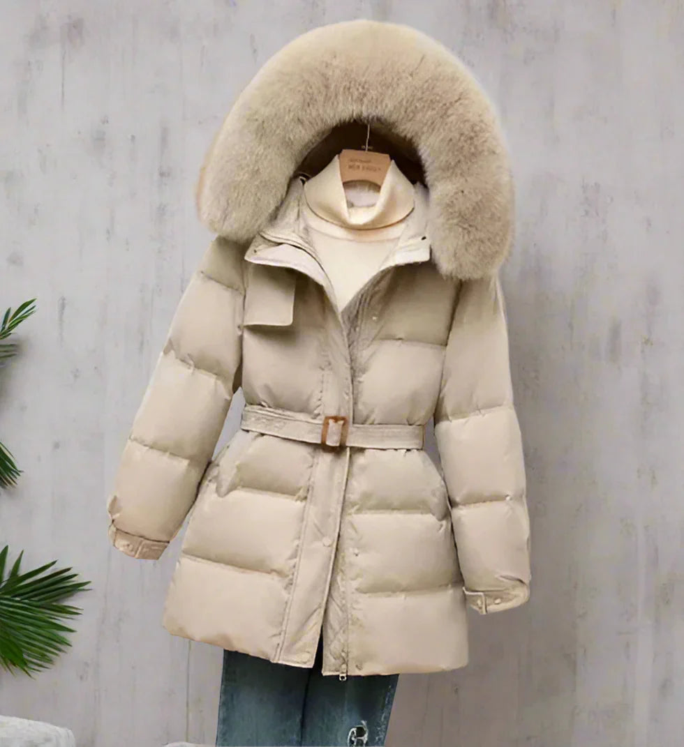 ModeGeist | Winterjacke mit abnehmbarer Kapuze für Damen ideal für kaltes Wetter