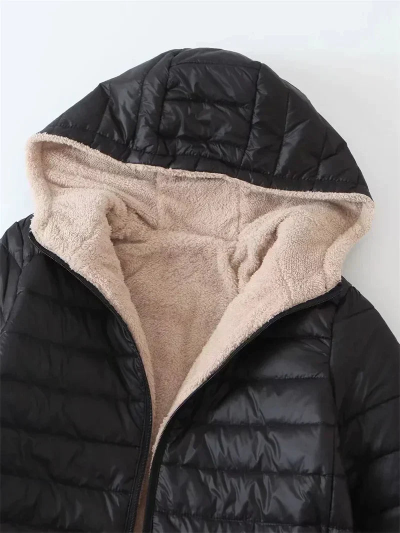  - ModeGeist